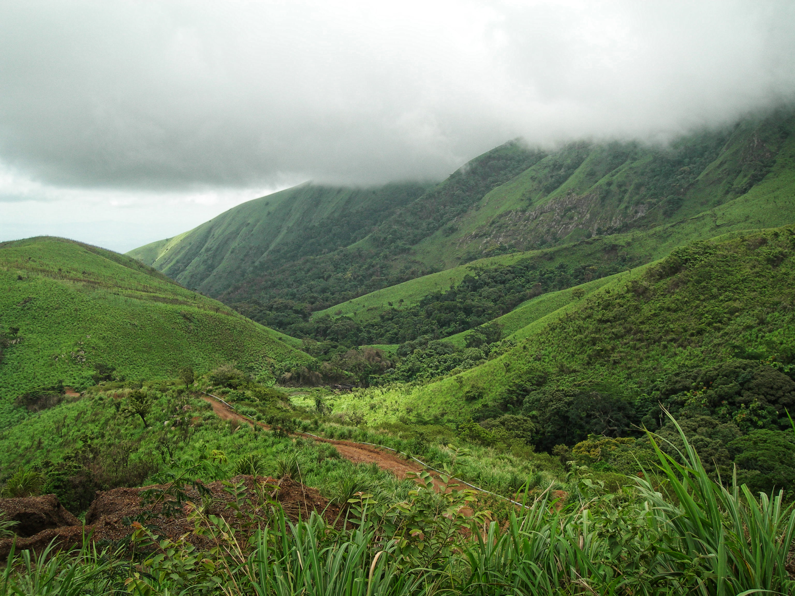 Mount Nimba landscape