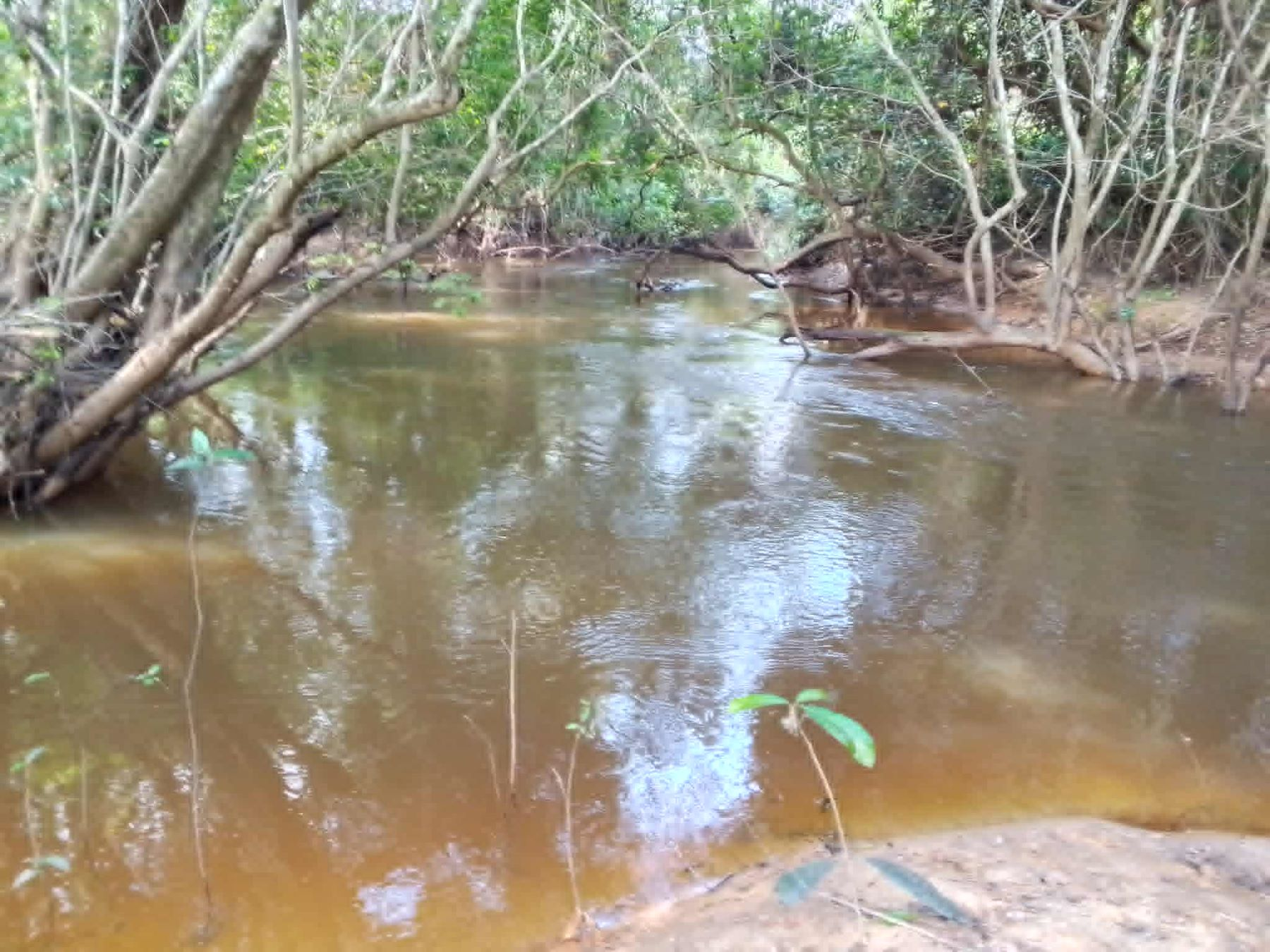 Numva farmer near Yah River