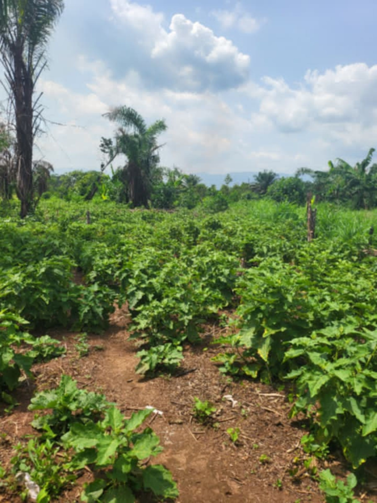 Numva Miners-Farmers Equipment Request – Support for Mining and Farming Productivity